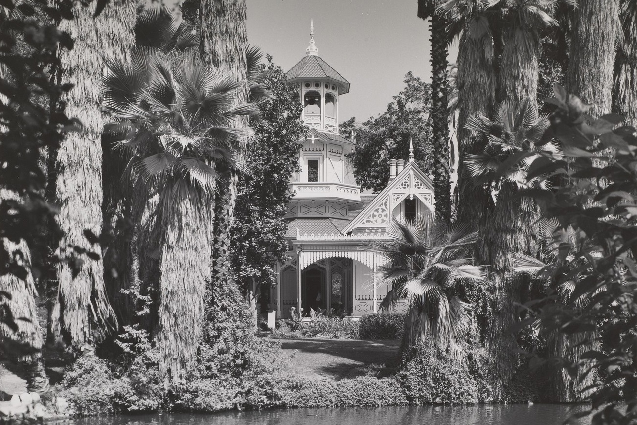 Under History's Canopy - Revealing the Layered Landscape of The LA County Arboretum