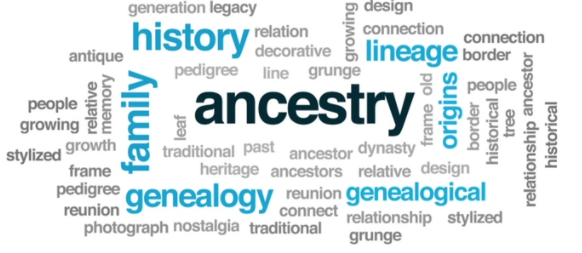 2-hour Genealogy Research Session with Guidance from a Pro