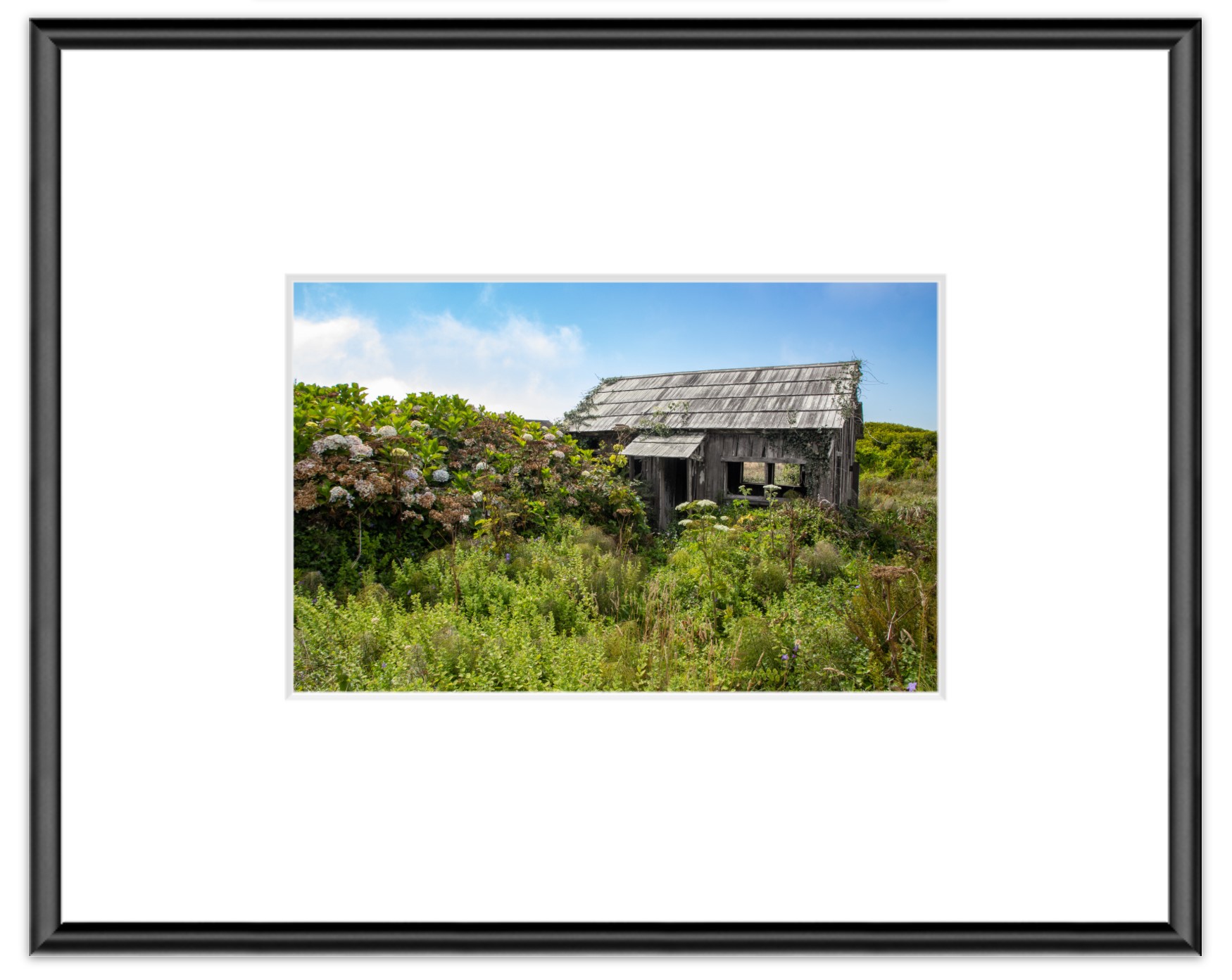 Sea Ranch Ruin: Christina Dikas Original Photograph Framed