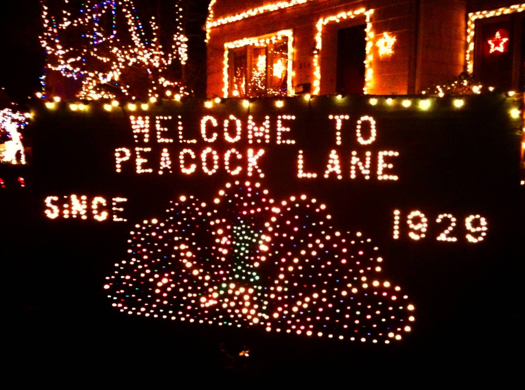 Holiday Eggnog Party for Six at Historic Peacock Lane, Portland