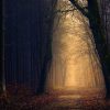 Preservation in Print | Haunted Southern California