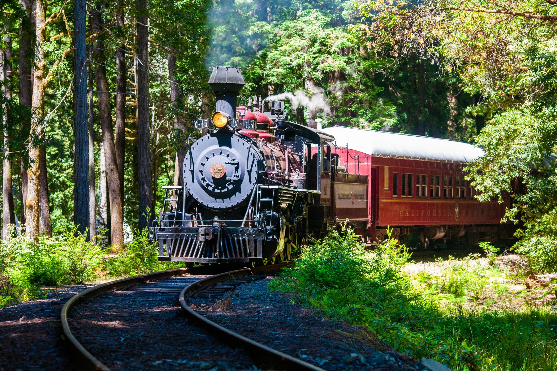 Two Tickets for the Skunk Train Wolf Tree Turn Experience