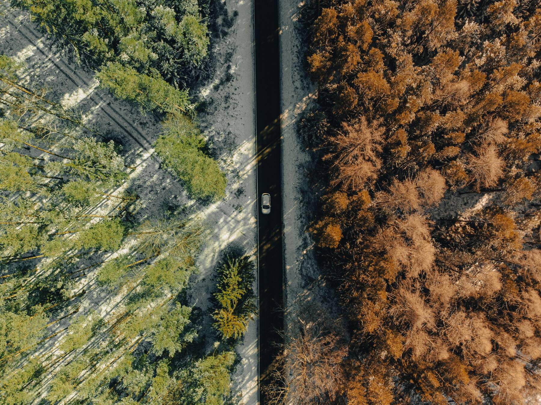 Aerial view of a car driving on a road dividing two forests—one green and snow-covered on the left, the other brown with bare trees on the right, highlighting a stark seasonal contrast.