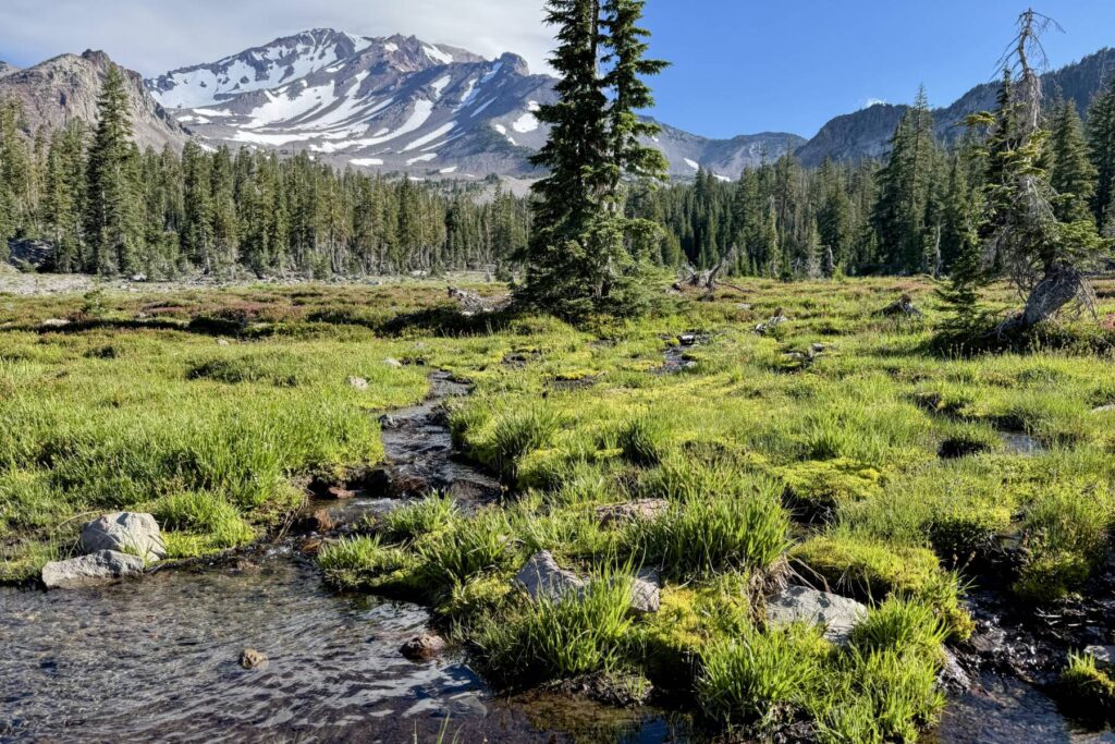 Panther Meadow, Mt Shasta